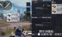 刺激战场体验服爆料新闻,神秘武器登场，战场格局再起风云